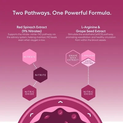 USANA Circulate+ Pack with Test Strips – See Your Circulation in Action